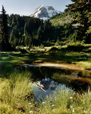 Mount Hood reflected in a pool in Eden Park Meadow on the northwest side of the mountain