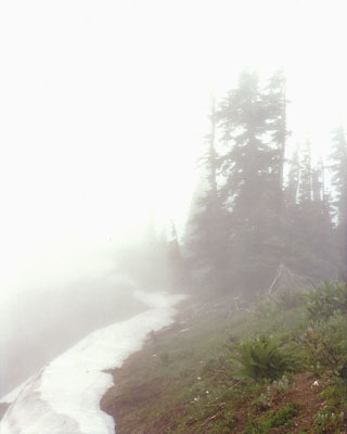 Cascade mountain ridge in the fog