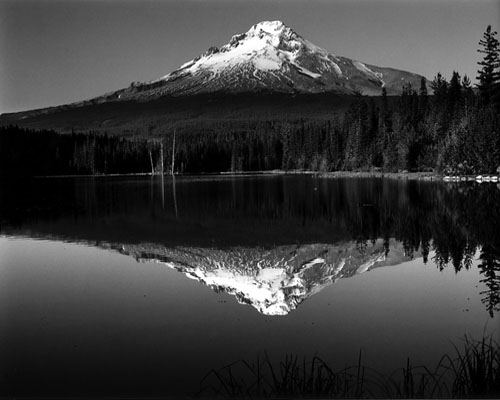 Mt Hood reflected in Trillium Lake