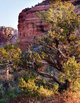 In the hills above Sedona,  Arizona