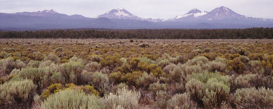 View of the Three Sisters over the sagebrush and rabbit brush