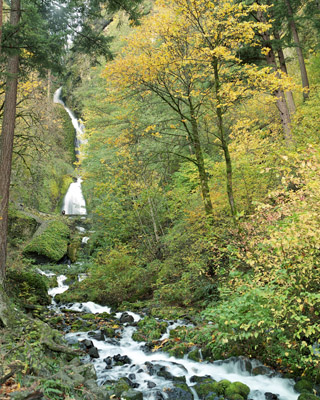 Autumn colors at one of the many scenic waterfalls along the old Columbia River Highway