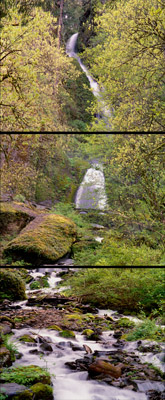 Spring gushes at one of the many scenic waterfalls along the old Columbia River Highway