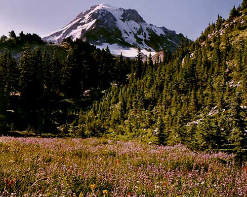 Mt Hood from Cairn Basin