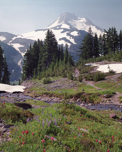 A mountain meadow in Jefferson Park to the north of Mt. Jefferson,  along the Pacific Crest Trail and a tributary of the Breitenbush River