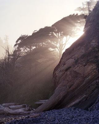 Early morning sun shining through the fog at Hug Point State Park on the Oregon coast Near Cannon Beach