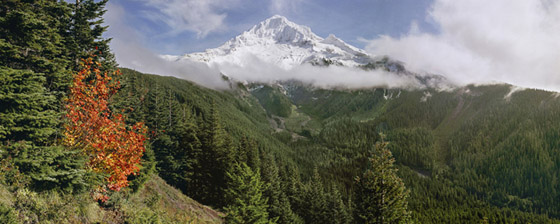 View of Mount Hood from Bald Mountain after an autumn snow.The mountain here is framed by a colorful vine maple,  along with the Muddy Fork of the Sandy River and passing clouds.