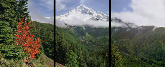 View of Mount Hood from Bald Mountain after an autumn snow.