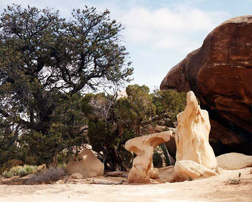 Natural art in the high desert