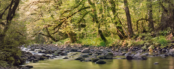 Trapper Creek in the summer