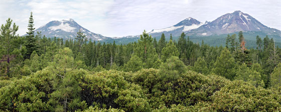 View of the Three Sisters from a manzanita filled clearing to the northeast of the mountains.