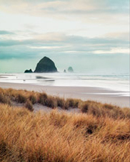 View to the south of Cannon Beach and Haystack Rock from Breaker Point