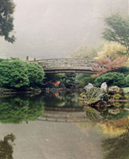 Koi pond and Moon Bridge on a foggy morning at the Portland Japanese Garden