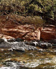 On the banks of Oak Creek