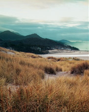 View to the south of Cannon Beach and Haystack Rock from Breaker Point