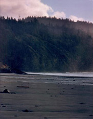 Late afternoon cliffs and surf at Cape Lookout