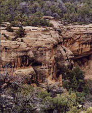 Cliff Dwellings in Colorado