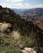 Colorado River and Grand Canyon at the east end of Grand Canyon National Park