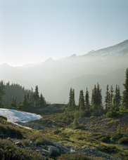 Mount Rainier from Plummer Peak in the Tatoosh Range to the south of Rainier.  Paradise in the center.