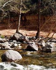 On the banks of Oak Creek