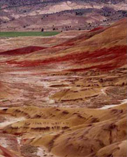 Ancient ash layers exposed in central Oregon