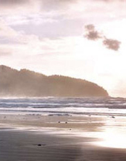 Late afternoon cliffs and surf at Cape Lookout