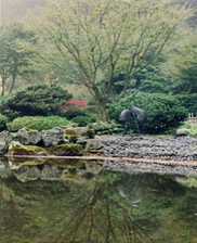 Koi pond and Moon Bridge on a foggy morning at the Portland Japanese Garden