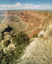 Colorado River and Grand Canyon at the east end of Grand Canyon National Park