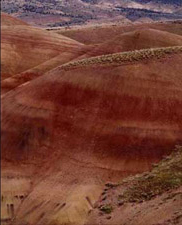 Ancient ash layers exposed in central Oregon