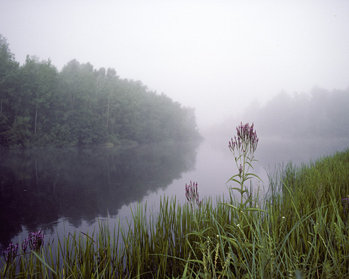 Driving through Wisconsin,  I passed by this little spot near the St Croix River and just had to stop and take a photo.