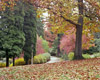 Morning in the Park II, Portland, Oregon