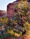 Sedona Vortex, Sedona, Arizona