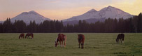 Sisters Pasture, Sisters, Oregon