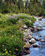 Breitenbush Creek, Mount Jefferson Wilderness, Oregon