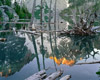 Icy Illusion, Leavenworth, Washington