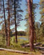 Metolius Headwaters, Sisters, Oregon