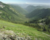 Mountain Valley, Mt Adams, Mt Rainier National Park, Washington