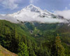 Mt Hood - October, Near Hood River, Oregon