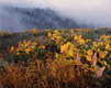 Rowena Mist, Mosier, Oregon