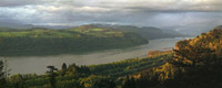 Spring Showers, Columbia River Gorge, Oregon